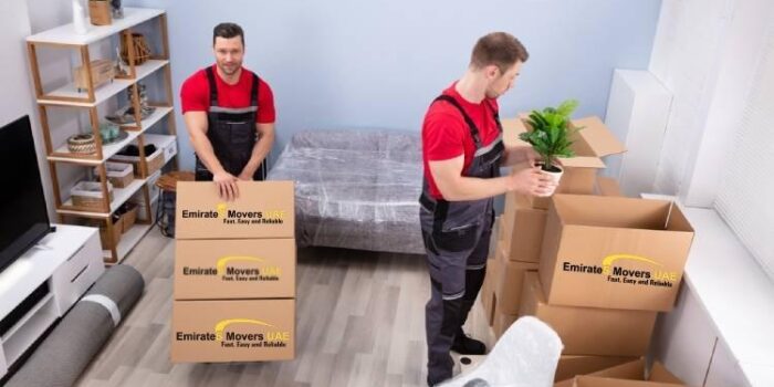 movers and packers